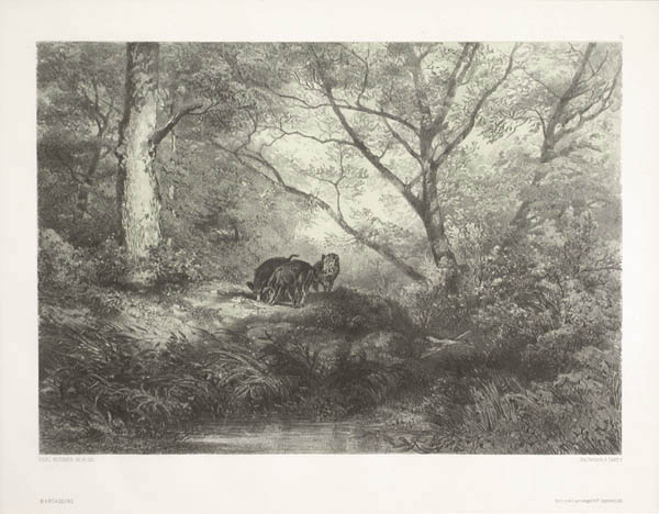 Karl Bodmer - Marcassins or Young Wild Boars