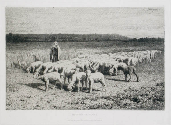 Jean Ferdinand Chaigneau - Moutons en Plaine Salon de 1863 Sheep in the Plain