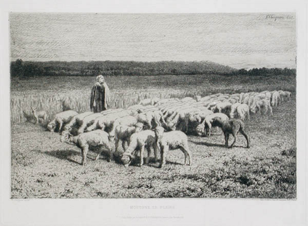 Jean Ferdinand Chaigneau - Moutons en Plaine Salon de 1863 Sheep in the Plain