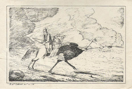 Richard Cobbold - Taking an Ostrich