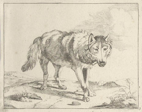 Marcus De Bye and Paulus Potter - Wolf - Plate Three