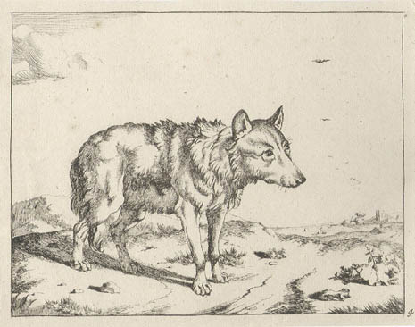 Marcus De Bye and Paulus Potter - Wolf - Plate Four