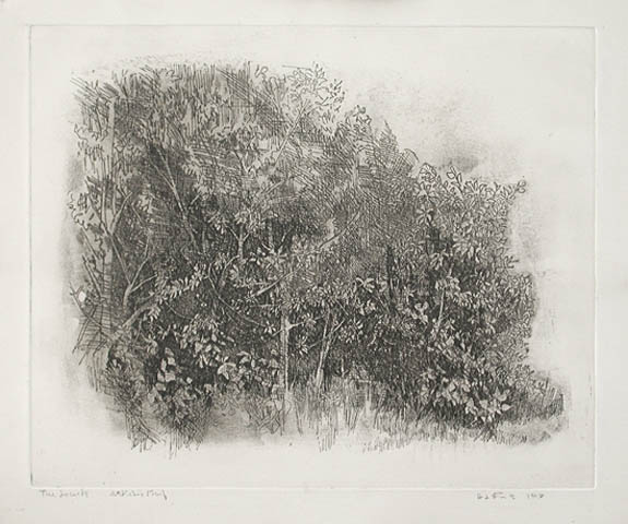 Herbert Lewis Fink - The Locusts