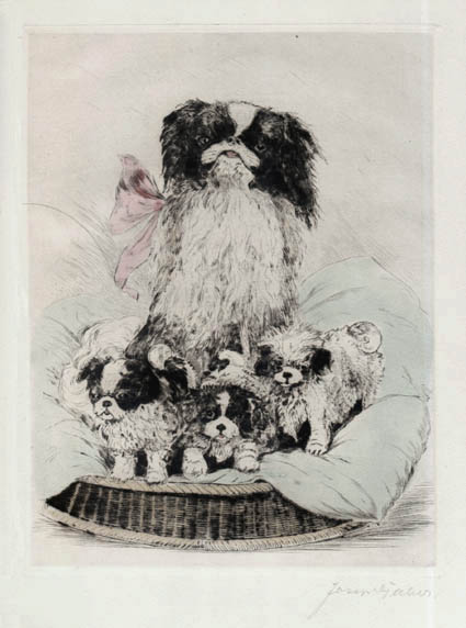 Carl Albert Joseph Gaber - Pekingnese Japanese Chin or Japanese Spaniel Dog with Puppies