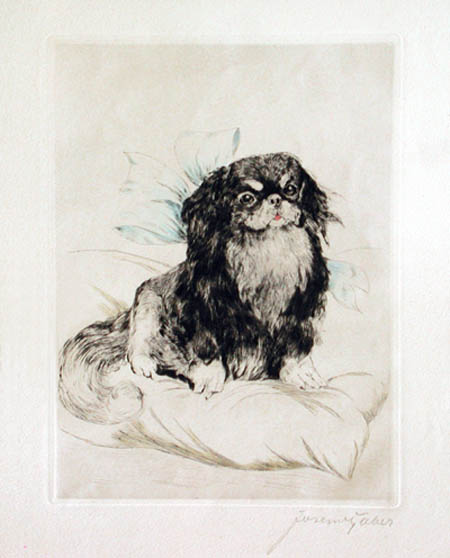 Carl Albert Joseph Gaber - Pekingnese Japanese Chin or Japanese Spaniel Dog on Pillow