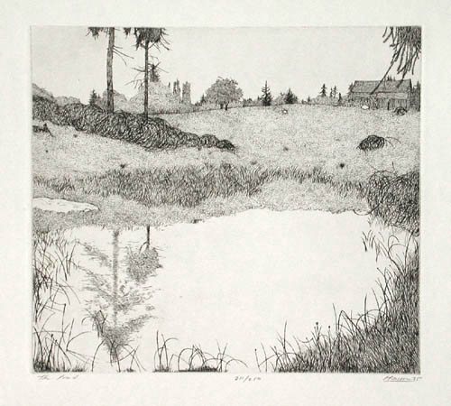 Art Hansen - The Pond
