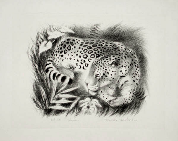 Rosella Hartman - Jaguar