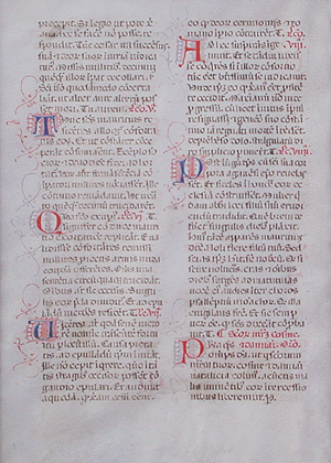 Illumination - Illuminated Breviary Leaf