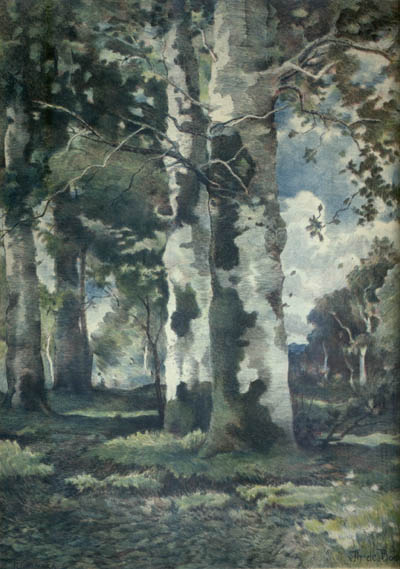 Frank Le Brun Kirkpatrick and Theophile de Bock - Birch Trees