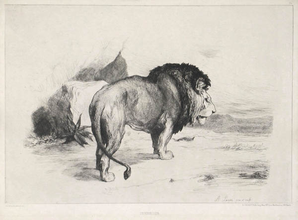 Auguste Andre Lancon - Un Vieux Lion or An Old Lion