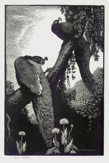 Sir Lionel Lindsay - Repose Pheasant and Wisteria