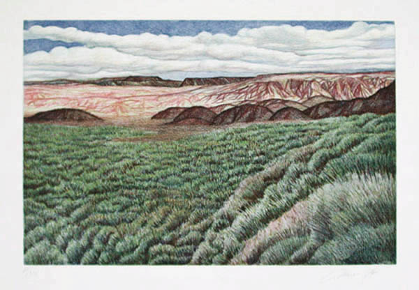 Oliviero Masi - Painted Desert