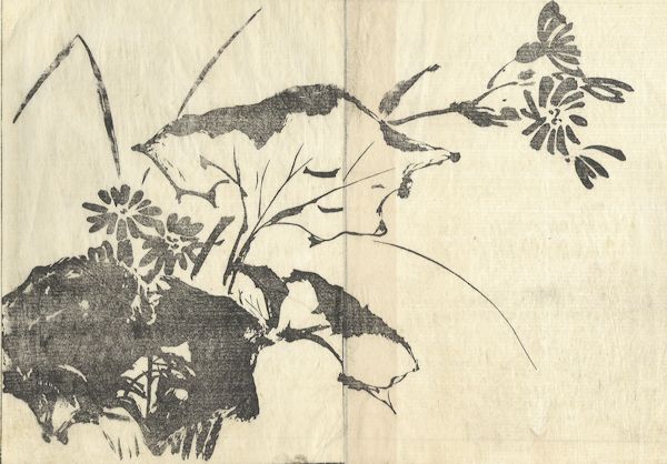 Tachibana Morikuni - Floral Study from the Unpitsu soga Moving Brush in Rough or Rapid Painting