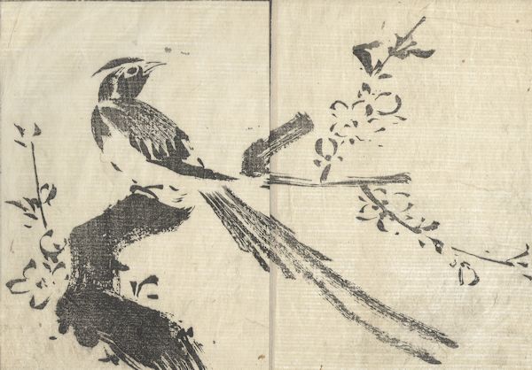 Tachibana Morikuni - Peacock from the Unpitsu soga Moving Brush in Rough or Rapid Painting