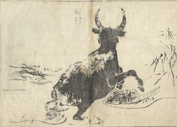 Tachibana Morikuni - Water Buffalo from the Unpitsu soga Moving Brush in Rough or Rapid Painting