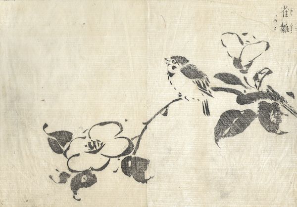 Tachibana Morikuni - Young Sparrow from the Unpitsu soga Moving Brush in Rough or Rapid Painting