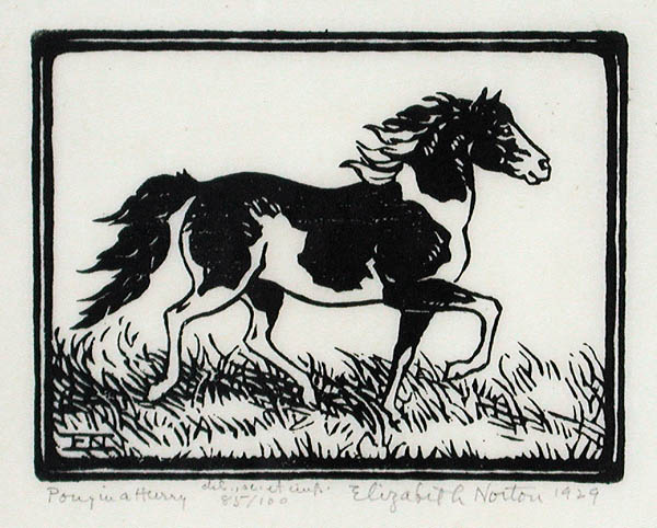 Elizabeth Norton - Pony in a Hurry