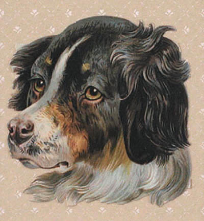 Raphael Tuck and Sons - English Spaniel Die-Cut