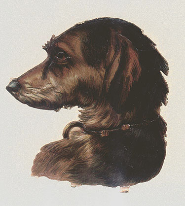 Raphael Tuck and Sons Scottish Deerhound Die-Cut