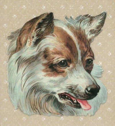 Raphael Tuck and Sons - Welsh Corgi Die-Cut