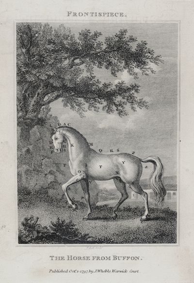 John Scott and George Louis Leclerc Comte de Buffon - The Horse From Buffon