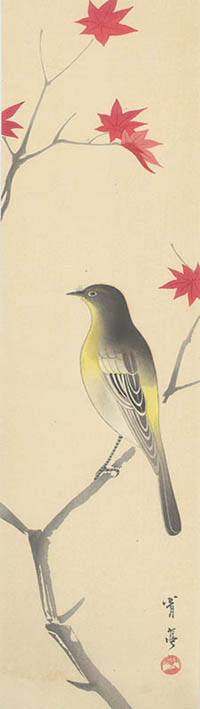 Watanabe Seitei - Wagtail Bird on Maple Branch