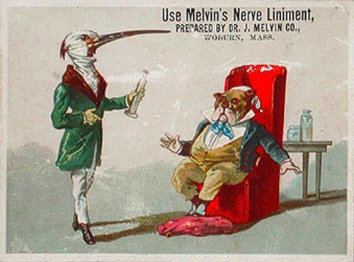 Trade Card  Advertiser Doctor J. Melvin Company - Use Melvin's Nerve Liniment A Crane and a Bulldog dressed as Humans