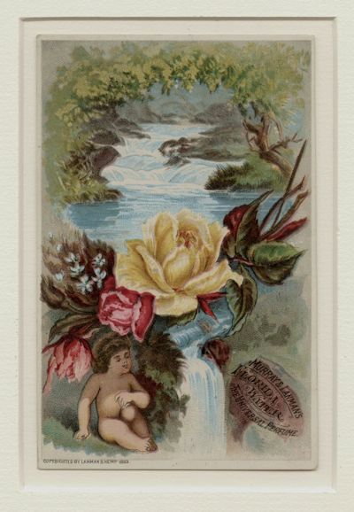 Trade Card Advertiser Lanman and Kemp New York - Murray and Lanman's Florida Water The Universal Perfume Water Baby and Roses by a Stream