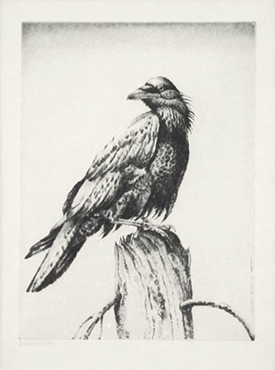 Henry Emerson Tuttle - Raven on a Stump