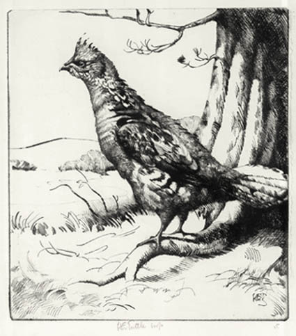 Henry Emerson Tuttle - Cock of the Walk