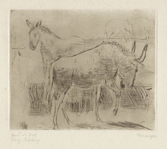 Fritz Wrampe - Gnu and Donkey - Gnu and Esel