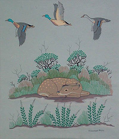 Harrison Begay - Fawn