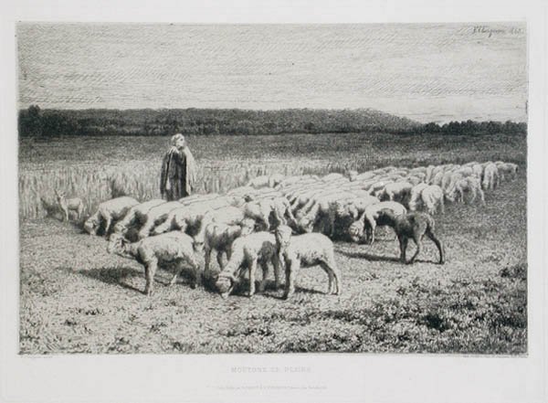 Jean Ferdinand Chaigneau - Moutons en Plaine Salon de 1863 Sheep in the Plain