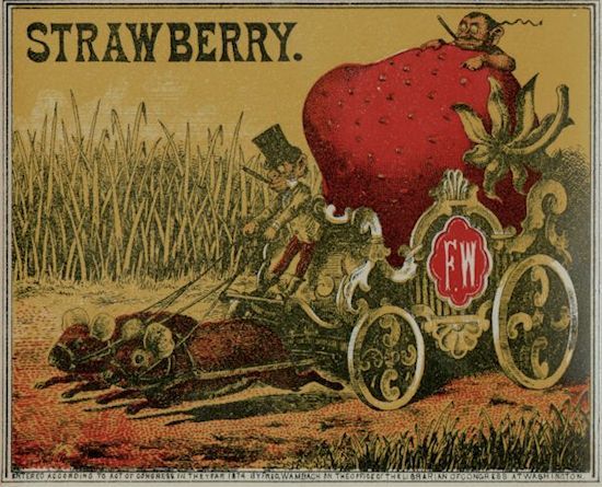 Cigar Label - Strawberry Fred Wambach