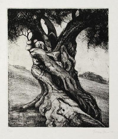 Francesca Genna - Tree Study Tuscany