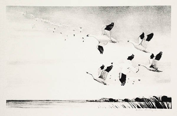 Victoria Hutson Huntley - Snow Geese