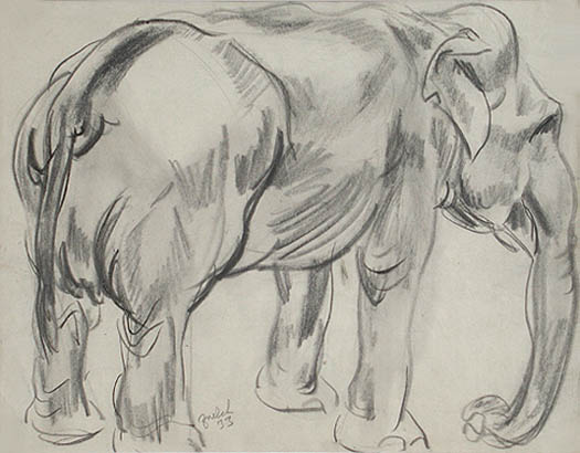 Clarence Edward Zuelch - Elephant