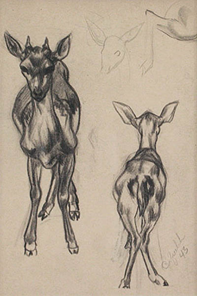 Clarence Edward Zuelch - Fawn Study