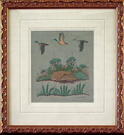 Harrison Begay - Framed Image - Fawn