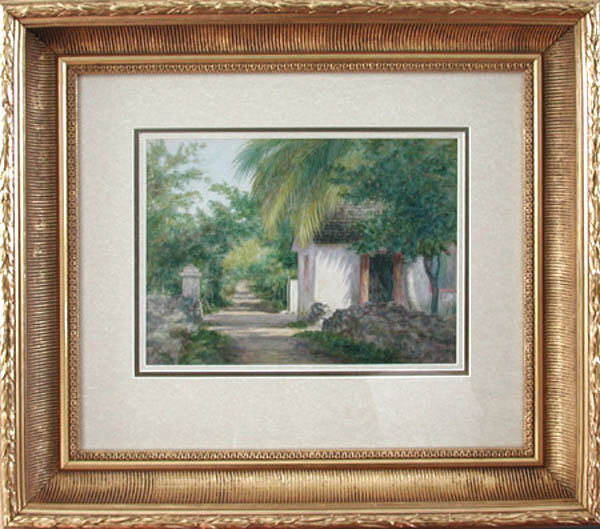 Armin Buchterkirch - Framed Image - Sunlight and Shade Bahamas