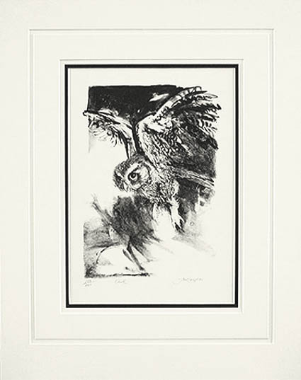 Jack Coughlin - Matted Image - Owl