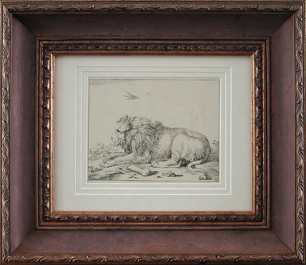 Marcus De Bye - Framed Image - Lion - Plate Two