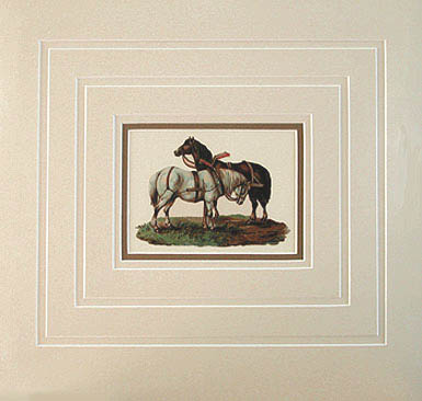 Raphael Tuck and Sons - Matted Image - Farm Horses