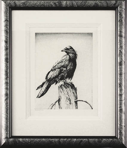 Henry Emerson Tuttle - Framed Image - Raven on a Stump