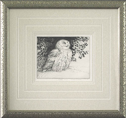 Henry Emerson Tuttle - Framed Image - Snowy Owl