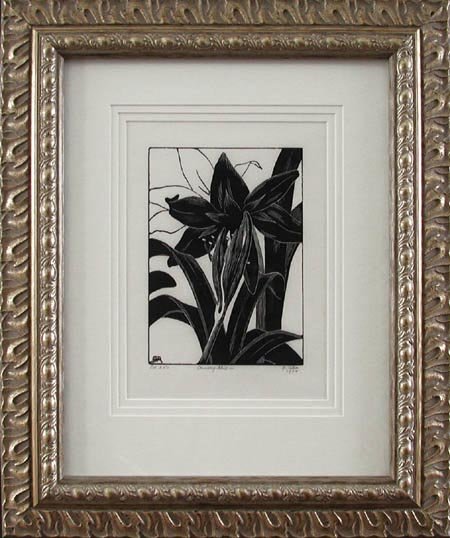 Grace Albee - Framed Image - Amaryllis