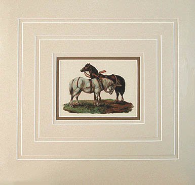 Raphael Tuck and Sons - Matted Image - Farm Horses