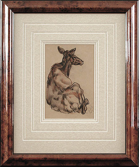 Clarence Edward Zuelch - Framed Image - Animal Study