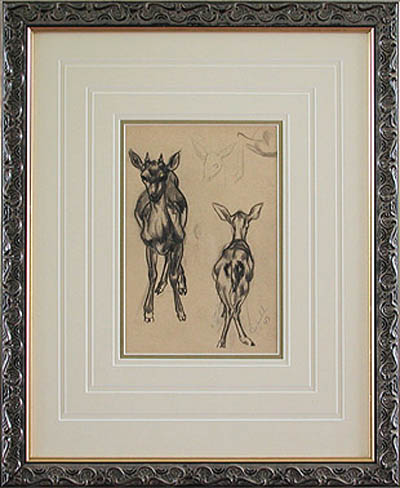 Clarence Edward Zuelch - Framed Image - Fawn Study