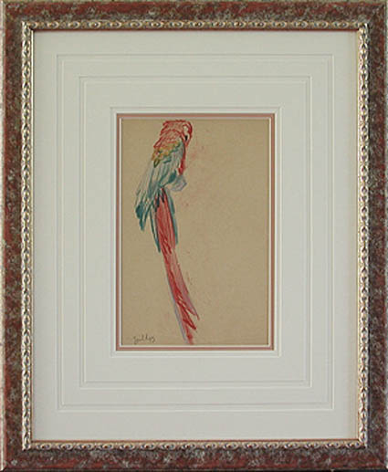 Clarence Edward Zuelch - Framed Image - Parrot